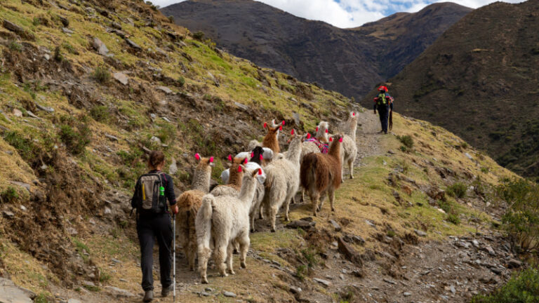 Caminata Lares a Machu Picchu (4 Días / 3 Noches)