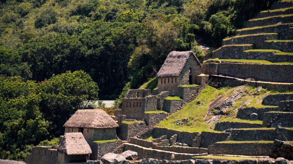 Inca guardhouses with thatched roofs above green terraces at Machu Picchu