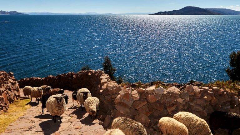 Island Taquile and Uros 2 days