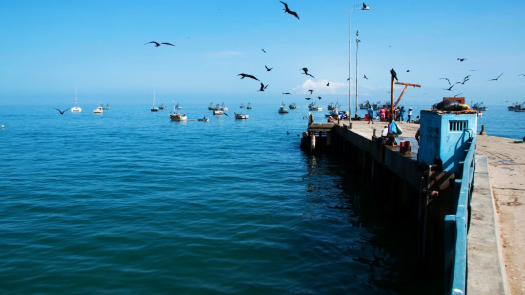 Fishing pier with seabirds in flight and boats offshore