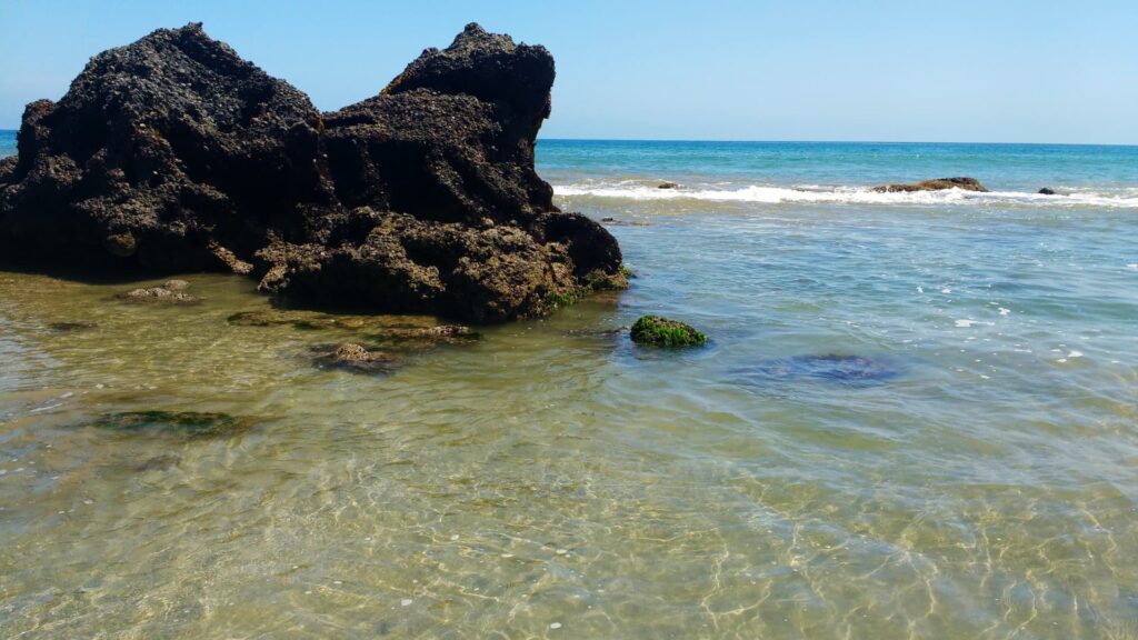 Large dark rock in clear, shallow seawater