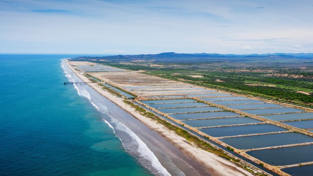 Aerial view of a long beach beside rectangular aquaculture ponds